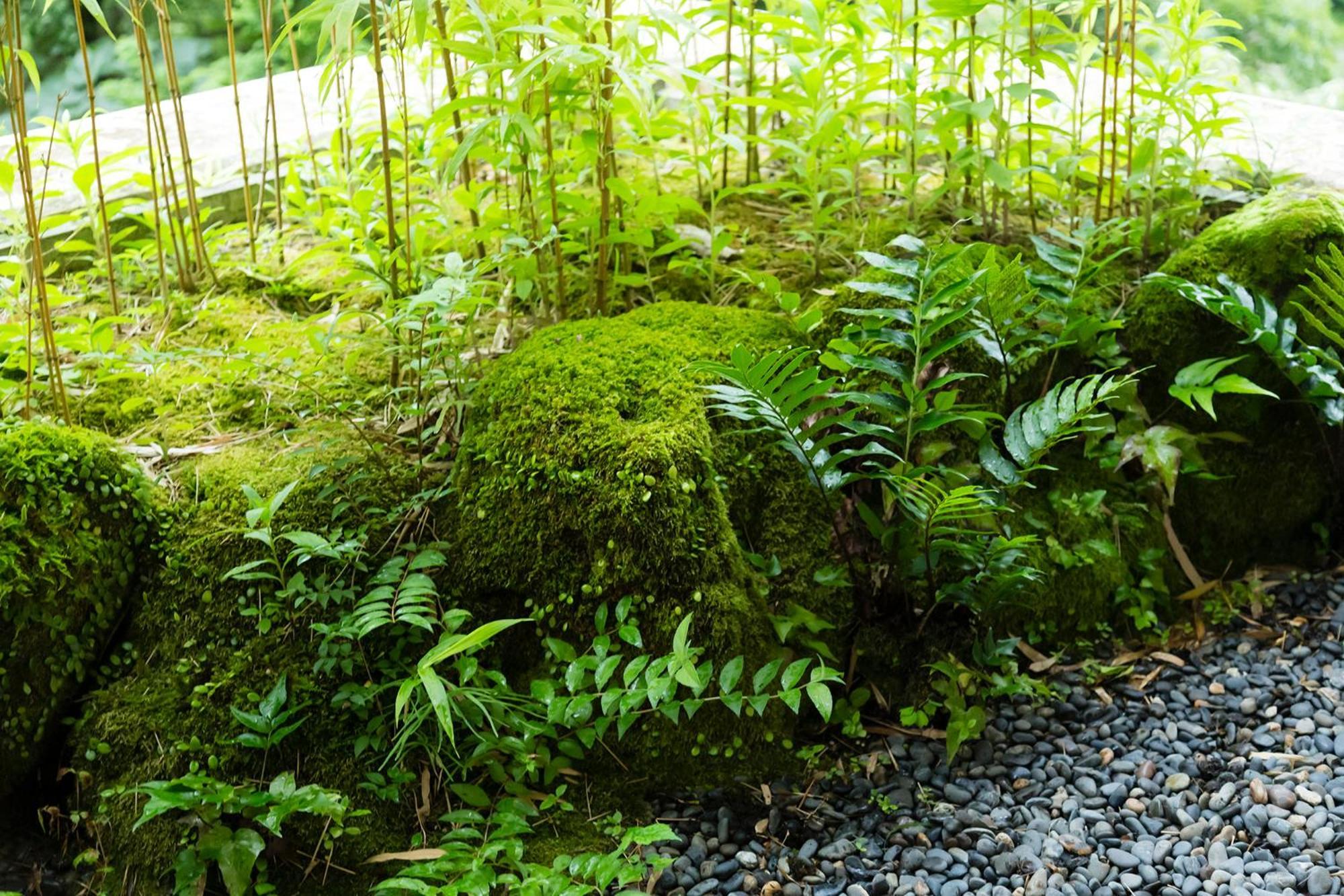Hakone Yumoto Onsen Hotel Kajikaso מראה חיצוני תמונה